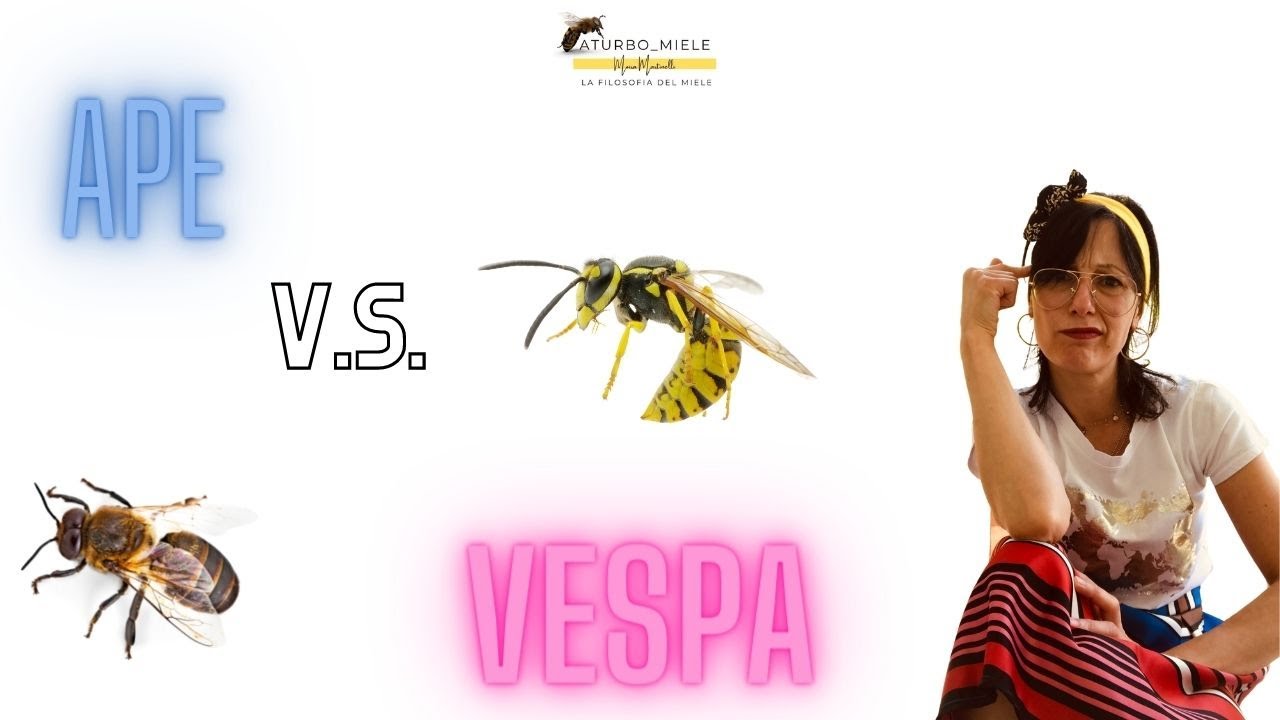 DIFFERENZA TRA APE E VESPA