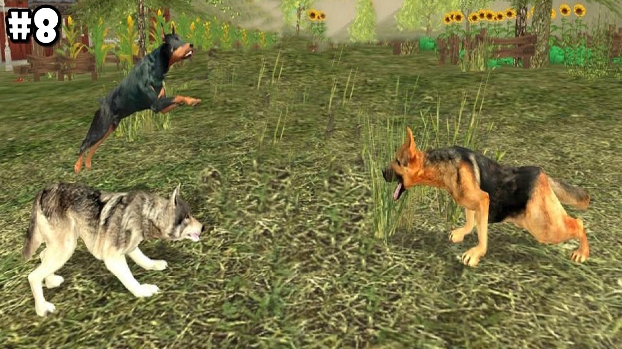 Dog Sim Online - PvP (Player vs Player) - Android / iOS - Gameplay part 8