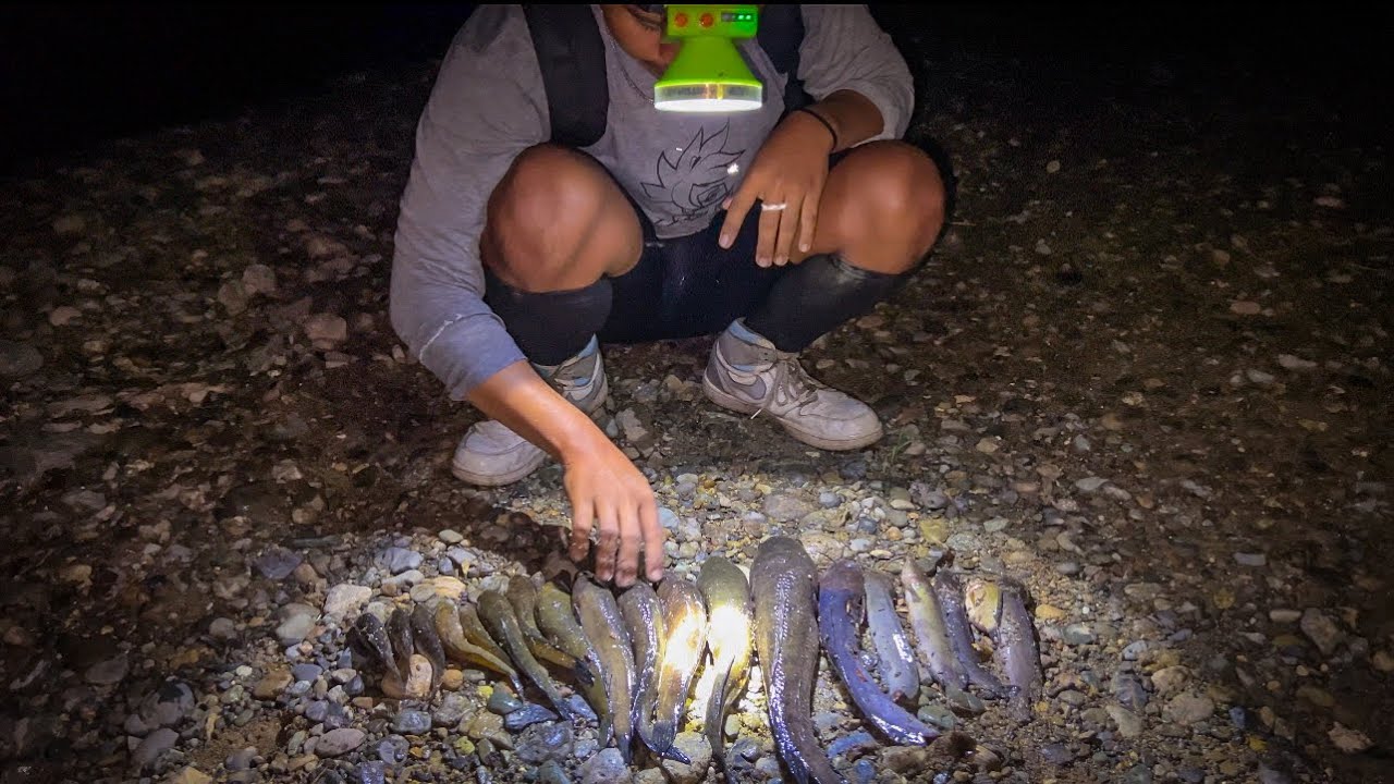 4 hari berburu 100 pancing dirawa gunung & pantai dapat banyak ikan buat orang baru lahiran 