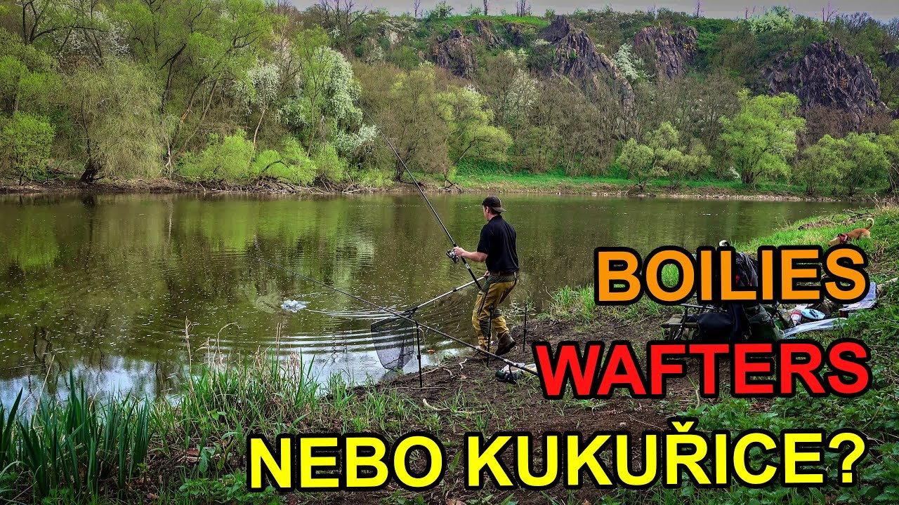 Lov kaprů na method feeder #4 - úspěchy na řece. Kapři jsou všude kolem!