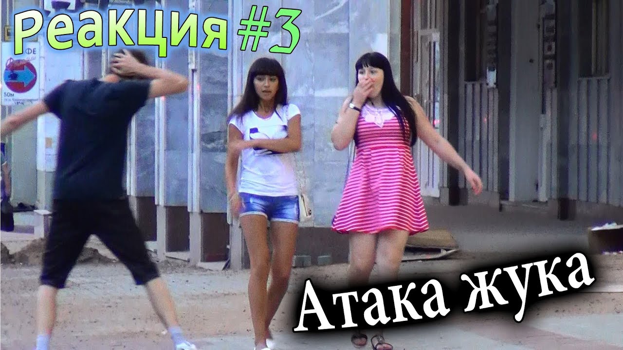 Розыгрыш: Атака Жука / Bug Attack Prank (Реакция 3)