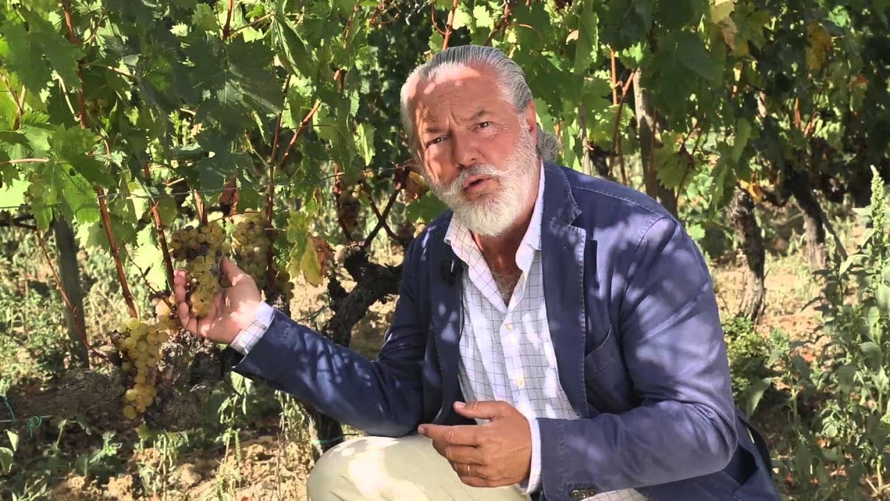 Col d'Orcia Moscadello