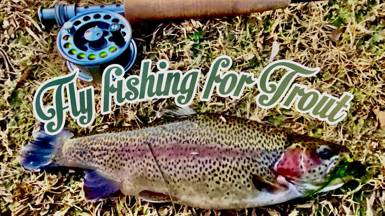 Fly Fishing for Trout  Drakensberg ,South  Africa - Part 2