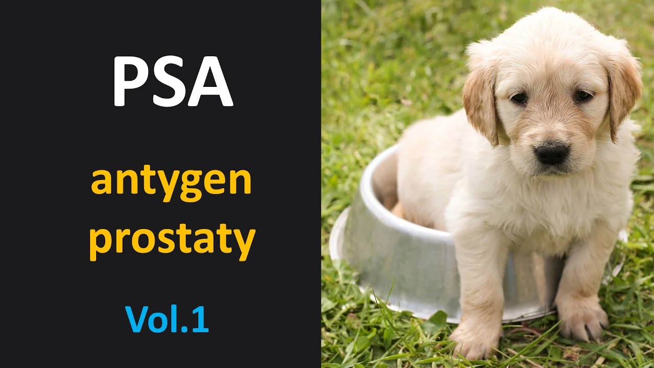 PSA - antygen / marker raka prostaty/stercza/gruczołu krokowego vol.1