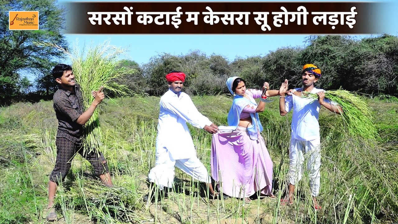 सरसों कटाई म केसरा सू होगी लड़ाई 😜 धापू करदी सर्विस || bodhya ki comedy | Rajasthani marwadi comedy