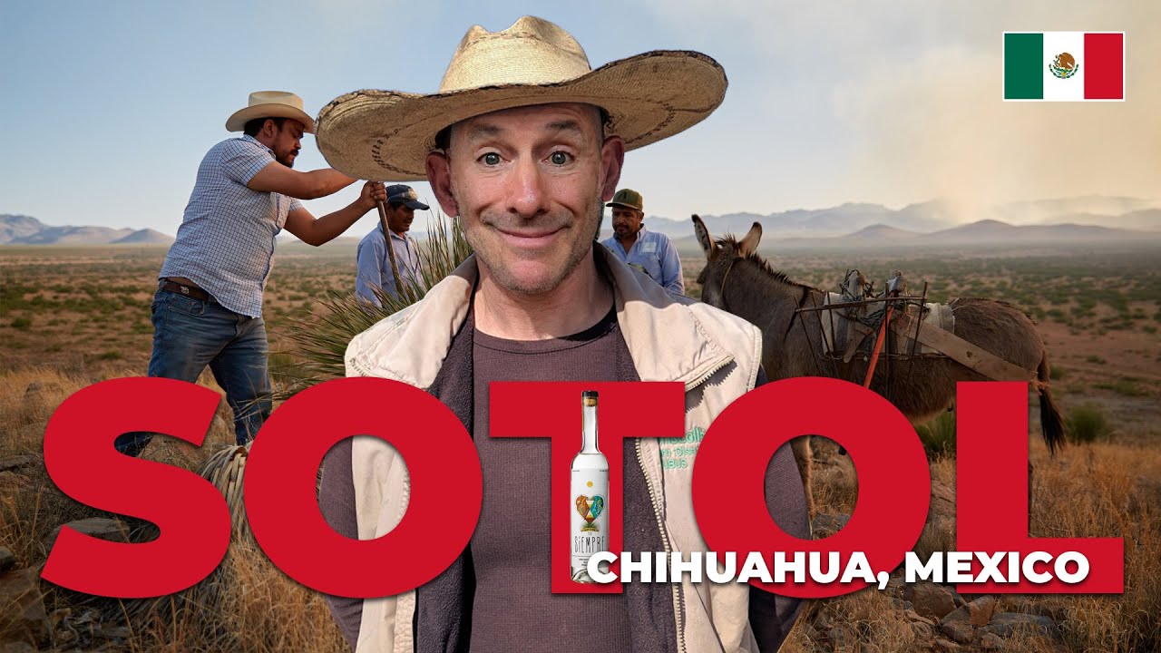 История Сотола из Чиуауа, Мексика #mexicotravel
