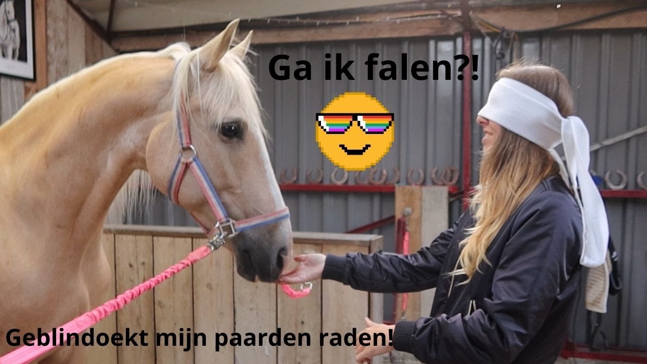 GEBLINDOEKT mijn PAARDEN raden! CHALLENGE! |Purarazadivino #VLOG 78