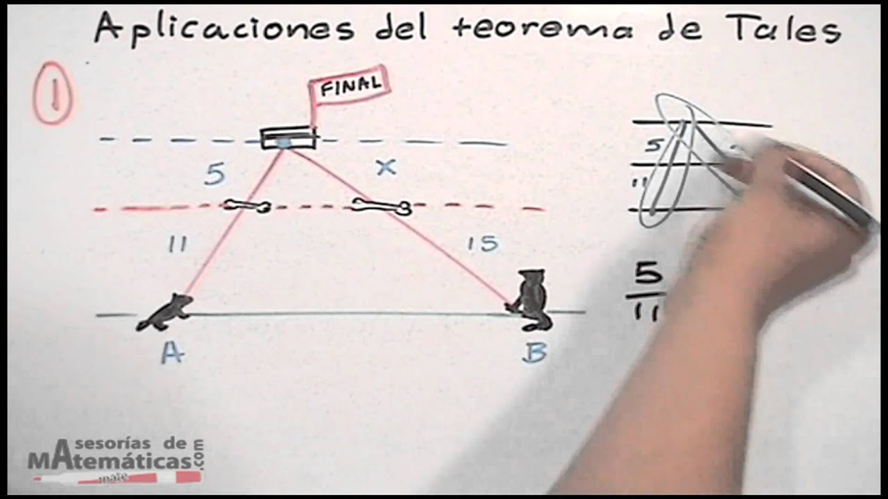 Teorema de Tales │ compilado