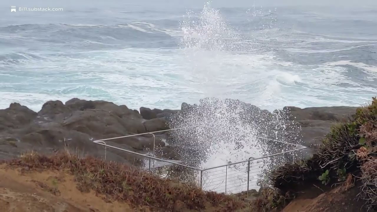 Boiler Bay: Where the Ocean Tries to Hit Reply