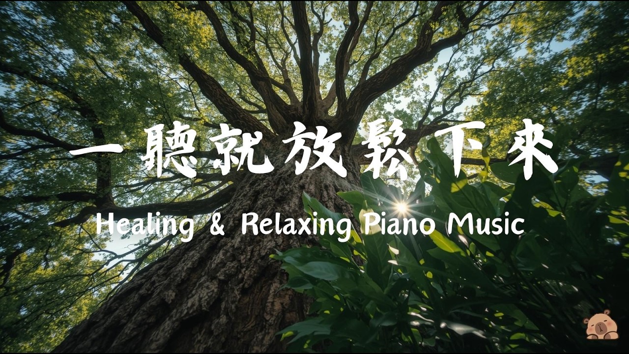 【PEACEFUL PIANO BGM】把自己交給這段寧靜！1小時温暖細膩的療癒鋼琴音樂，如水豚擁抱般讓煩惱思緒慢淡去，帶走壓力與緊繃，恢復內在安穩。