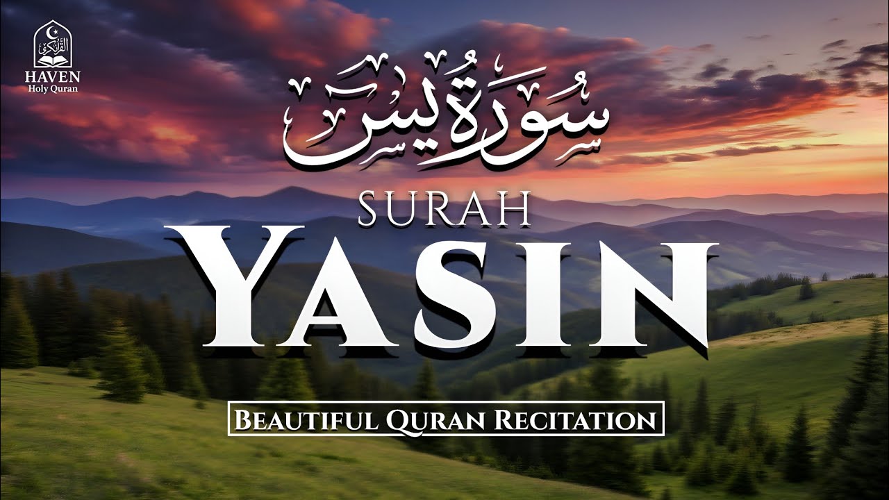 Surah Yasin (سورة يس) | Beautiful Morning Quran Recitation for Barakah & Inner Peace |