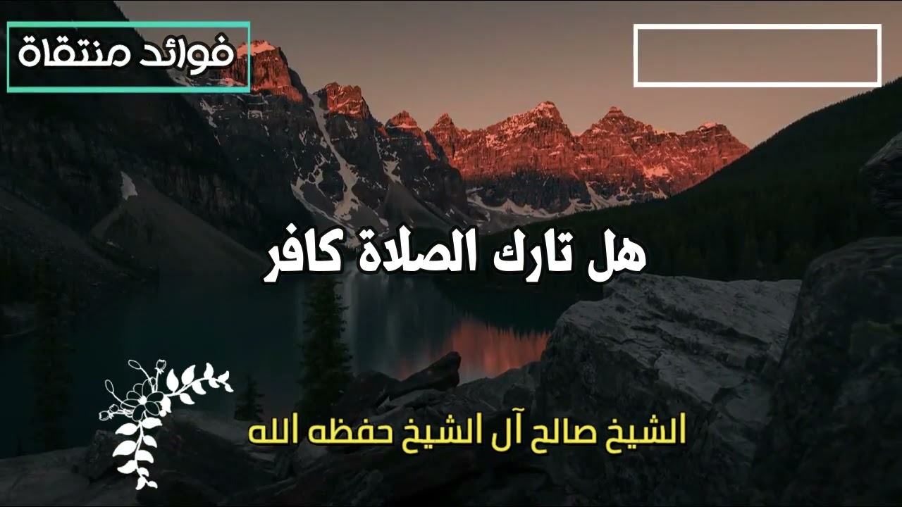 هل تارك الصلاة بالكلية كافر الشيخ صالح آل الشيخ حفظه الله