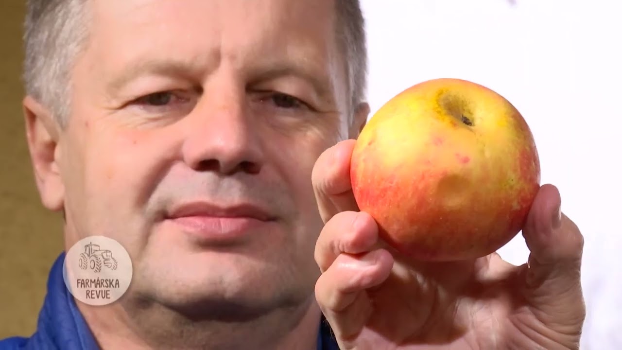 Ivan Hričovský: JE TU ČAS NA JARNÉ VRÚBĽOVANIE