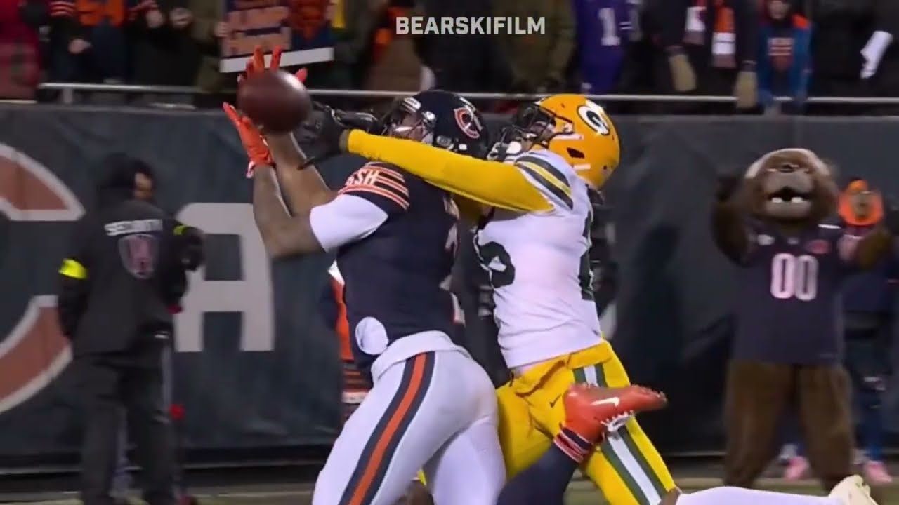 Chicago Bears - Kings of the NFC North