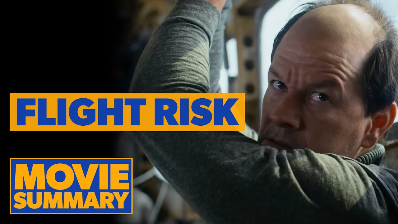 Flight Risk - Movie Summary