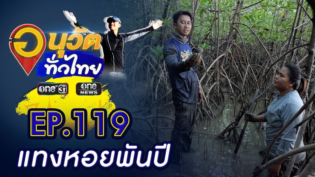 แทงหอยพันปี จ.พังงา | อนุวัตทั่วไทย | EP 119 | ข่าวช่องวัน | one31