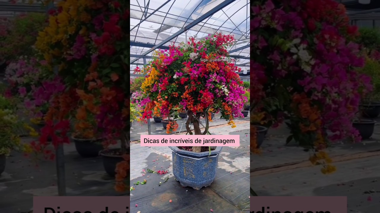 Dicas incr&iacute;veis de jardinagem #planta #dicasdejardinagem #jardim #jardinagem