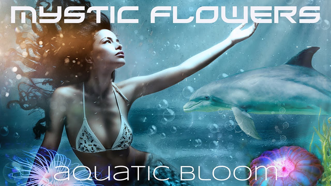 MYSTIC FLOWERS - Aquatic Bloom (promo excerpt)