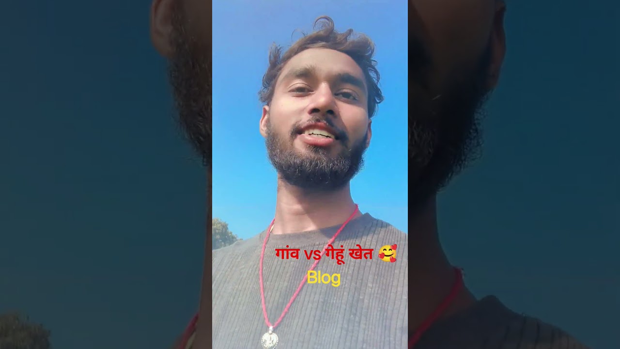 गांव vs गेहूं खेत 🥰 