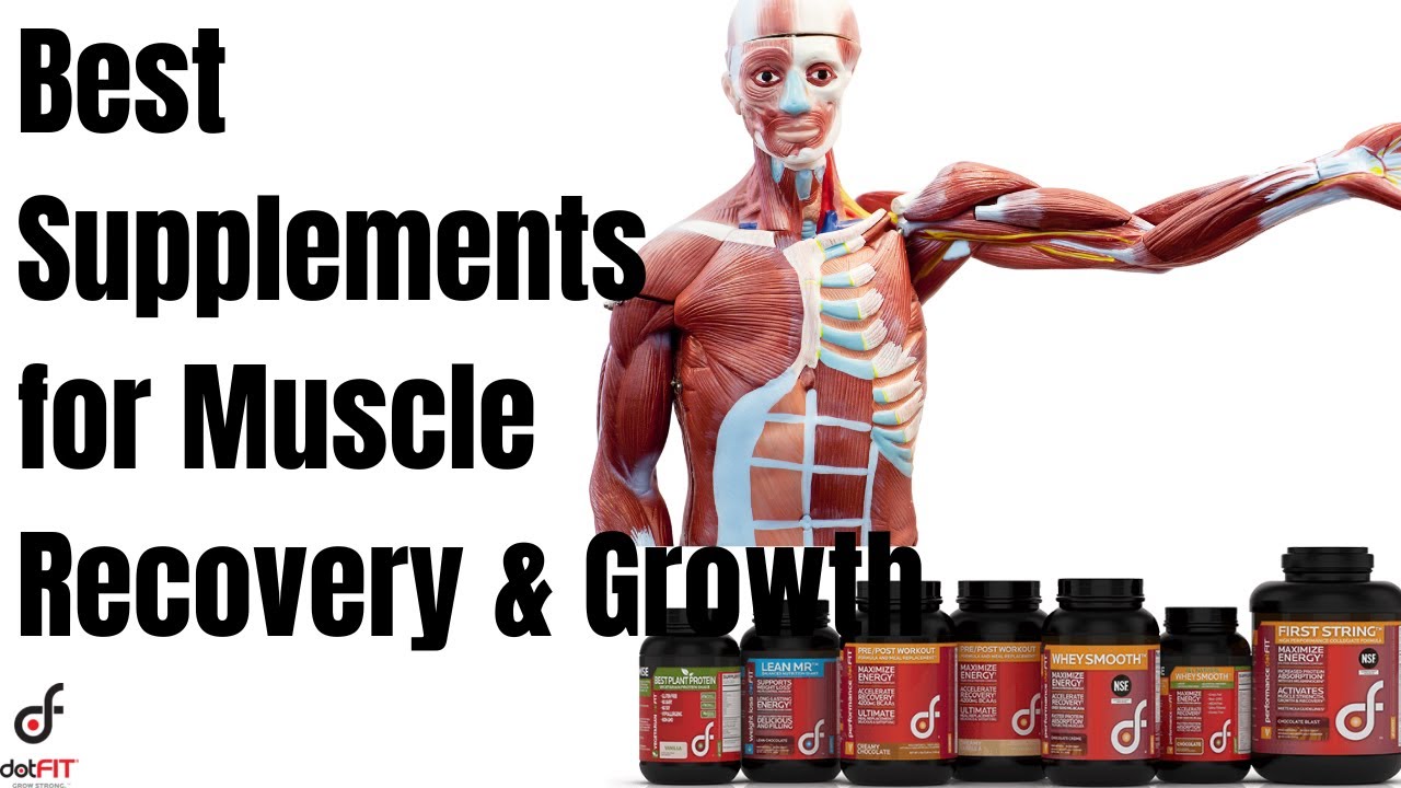 Best Supplements for Muscle Recovery and Growth