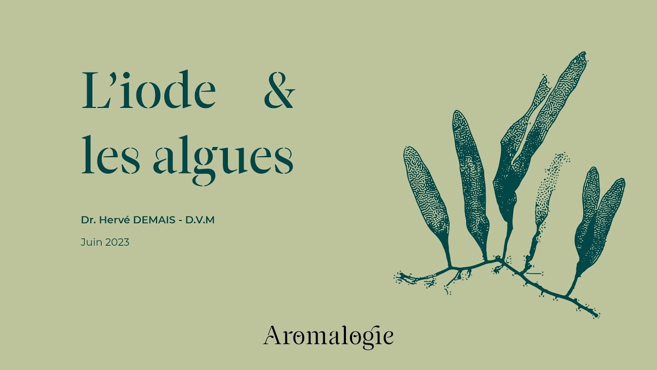 E-LEARNING  - L'iode et les algues | by Herv&eacute; DEMAIS