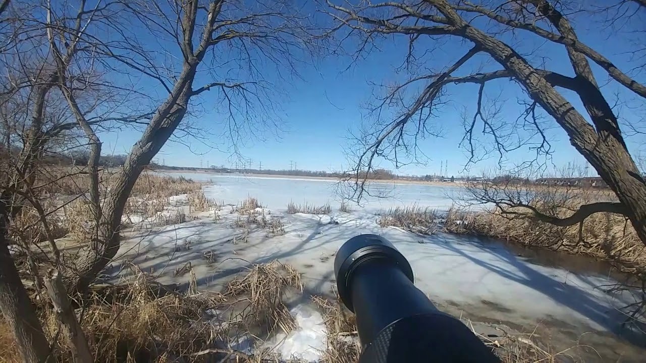 What to know about Pentax Continuous Auto Focus (AF.C), Auto, SEL-Expanded and Spot.