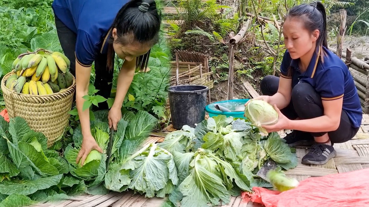 Gathering Bananas and Cabbages from the Farm | A Simple Day Selling Fresh Produce at Market