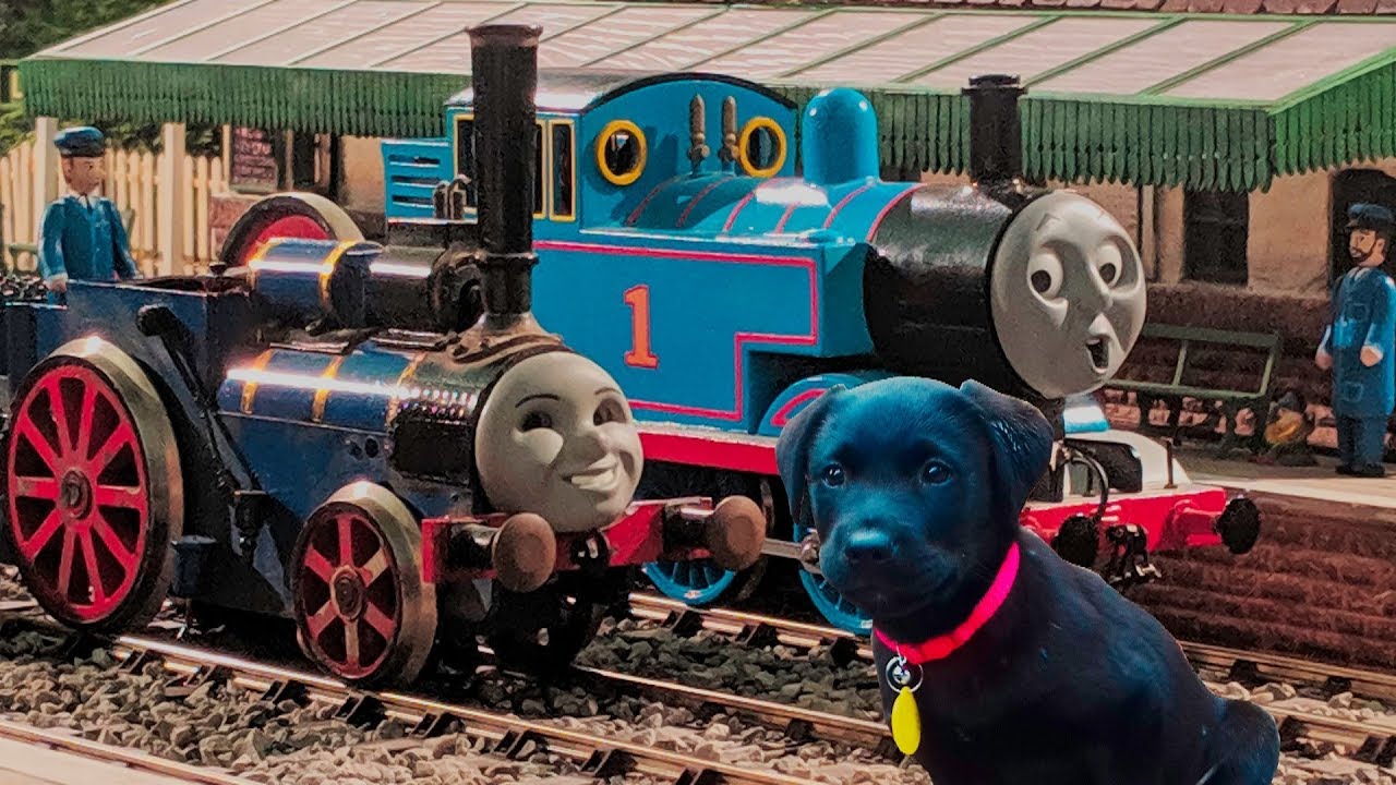 Props, Puppies and Giants