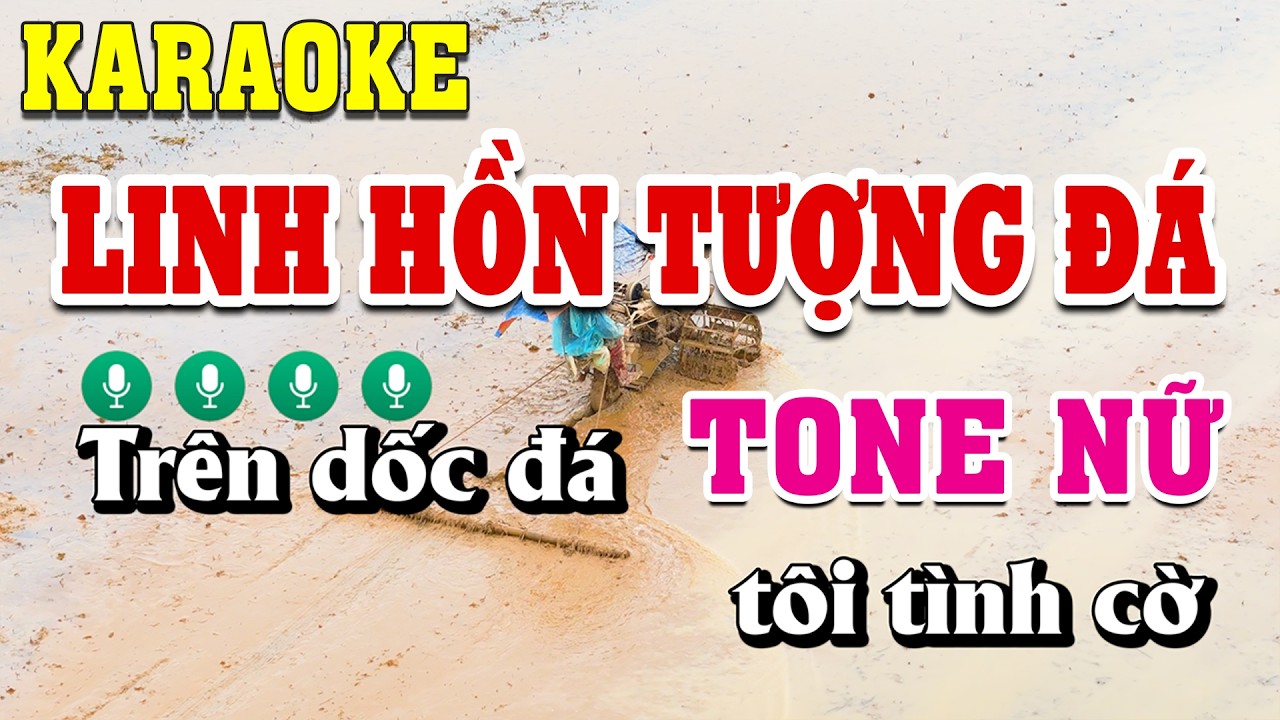 Linh Hồn Tượng Đá Karaoke Tone Nữ ( Cm ) Beat Chuẩn | Linh Linh Karaoke