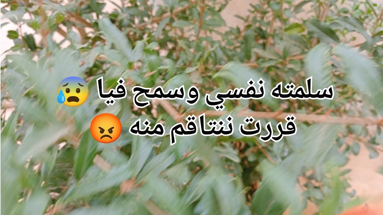 سلمته نفسي وسمح فيا 😰قررت ننتاقم منه 😡بصح ماتتوقعوش شاصرى 😭
