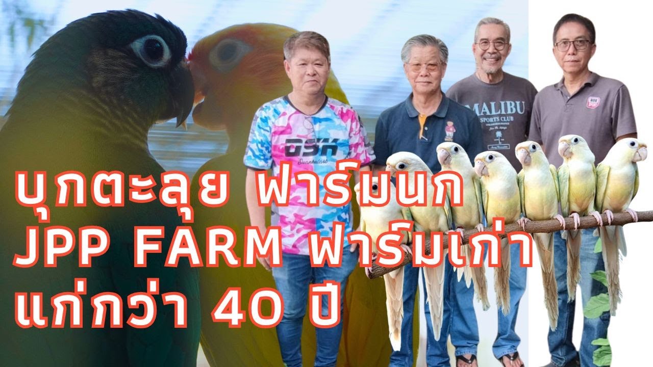 กรีนชีคฮาฟไซด์เดอร์ บุกตะลุย ฟาร์มนก JPP FARM ฟาร์มเก่าแก่กว่า 40 ปี