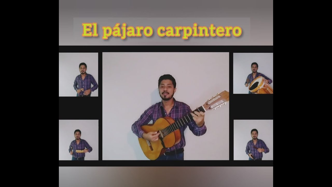 EL PAJARO CARPINTERO
