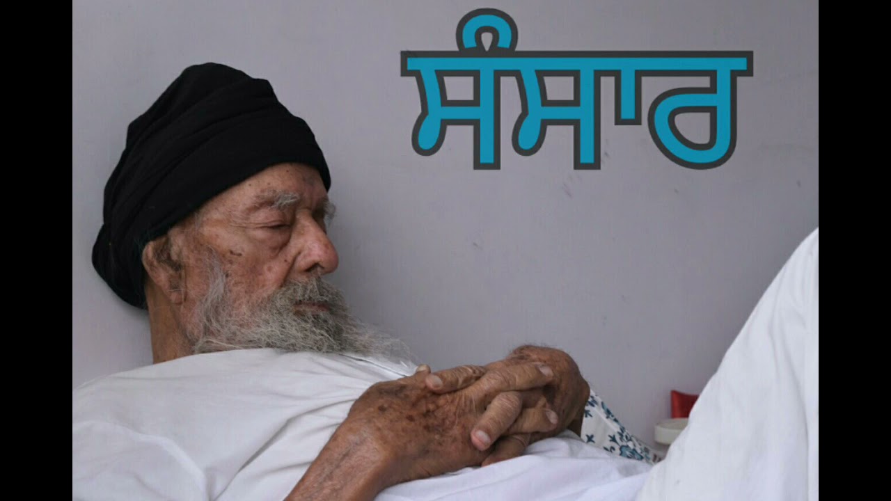 Sansar ਸੰਸਾਰ