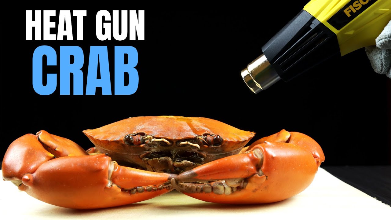 EXPERIMENT HEAT GUN VS CRAB - Cooking Giant Mud Crab with Heat Gun