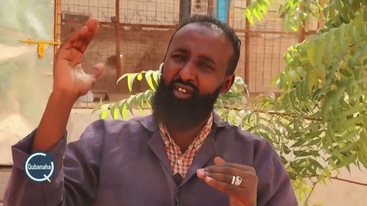 Ganacsatada yaryar ee Wajeer oo ka cabanaya canshuur kordhinta