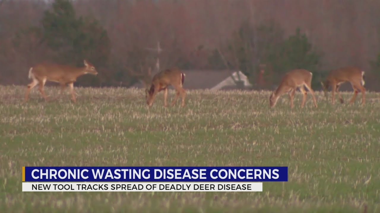 New tool tracks spread of Chronic Wasting Disease