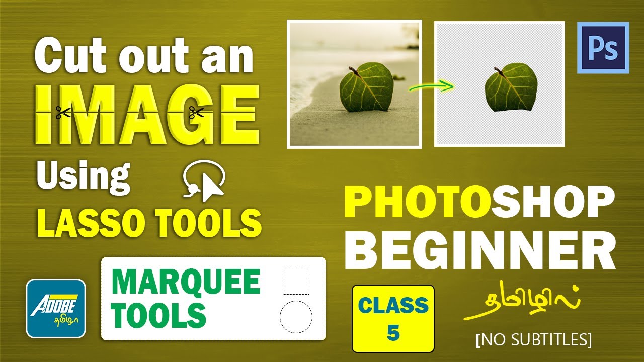 Cut out an image Photoshop tamil class 5 | Lasso tool | Marquee tool