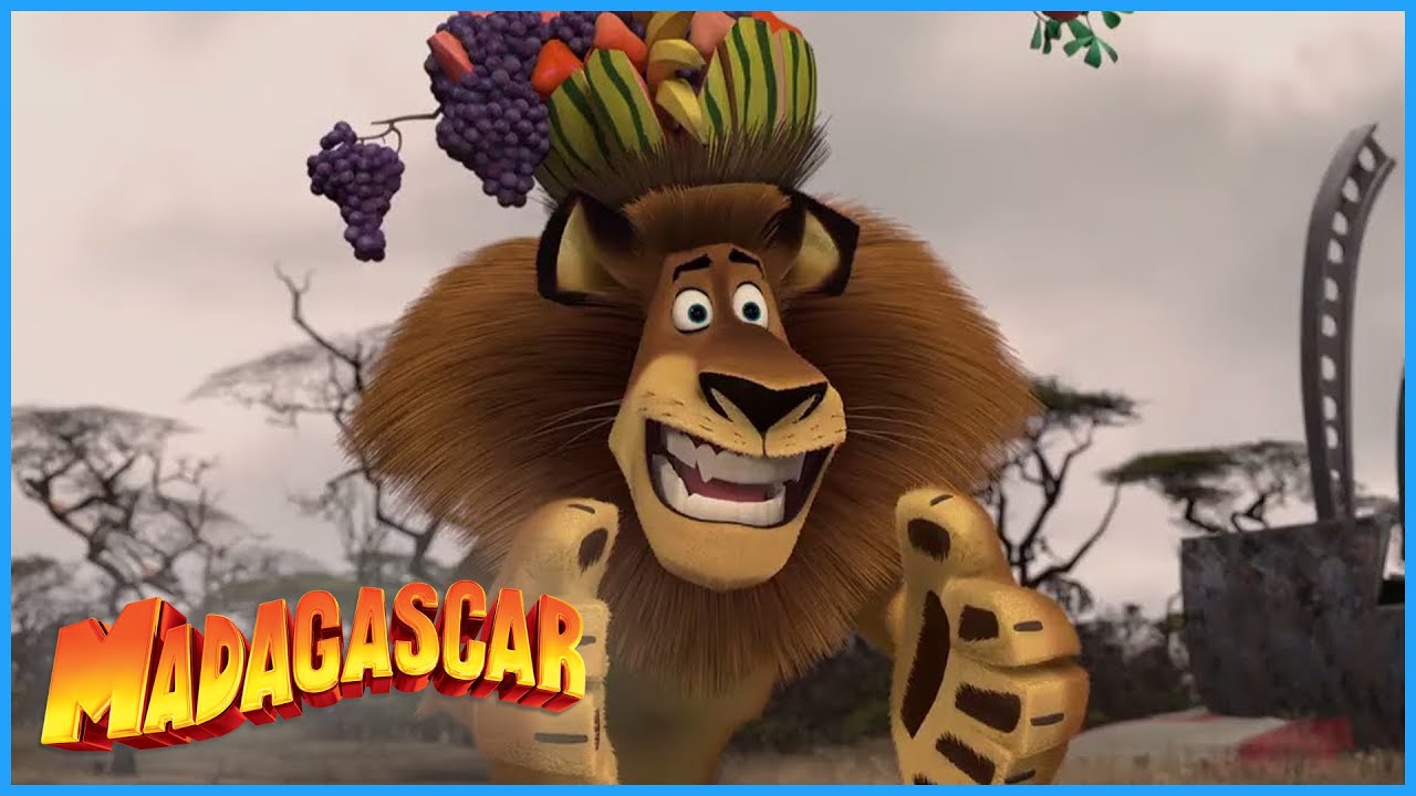 DreamWorks Madagascar | Who is Who  🦓   | Madagascar  Escape 2 Africa Movie