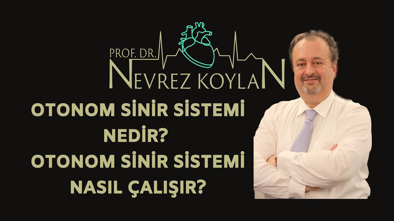 Otonom sinir sistemi nedir? Otonom sinir sistemi nasıl çalışır?