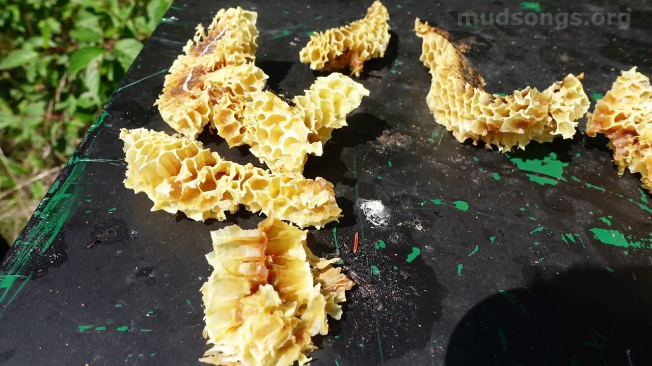 Feeding and Expanding Honey Bee Colonies