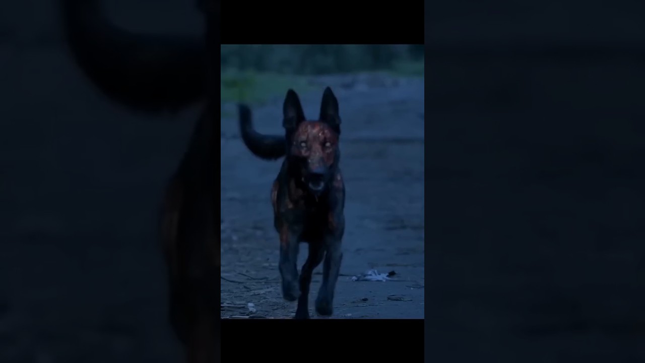 zombie dog 🐕#attack #shorts  ThalapathyRaju