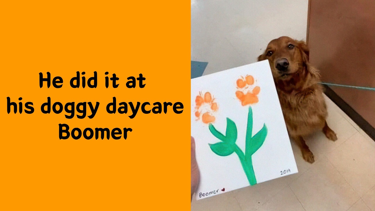 50 Feel-Good Animal Memes Packed With Pure Joy
