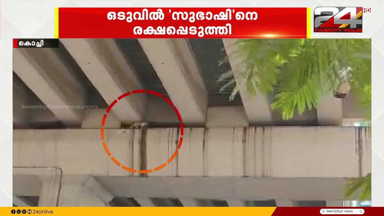 ഒടുവിൽ 'സുഭാഷിനെ' രക്ഷപ്പെടുത്തി; മെട്രോ പില്ലറിൽ കുടുങ്ങിയ പൂച്ചയെ രക്ഷിച്ചത് പുലർച്ചയോടെ