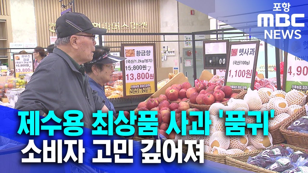 제수용 최상품 사과 '품귀'..소비자 고민 (2025.10.01/뉴스투데이/포항MBC)