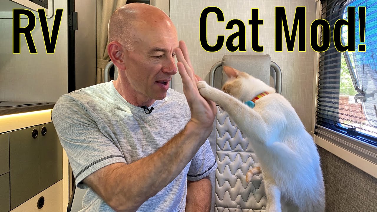 RV Cat Mod in the EKKO!  A private litter box door.
