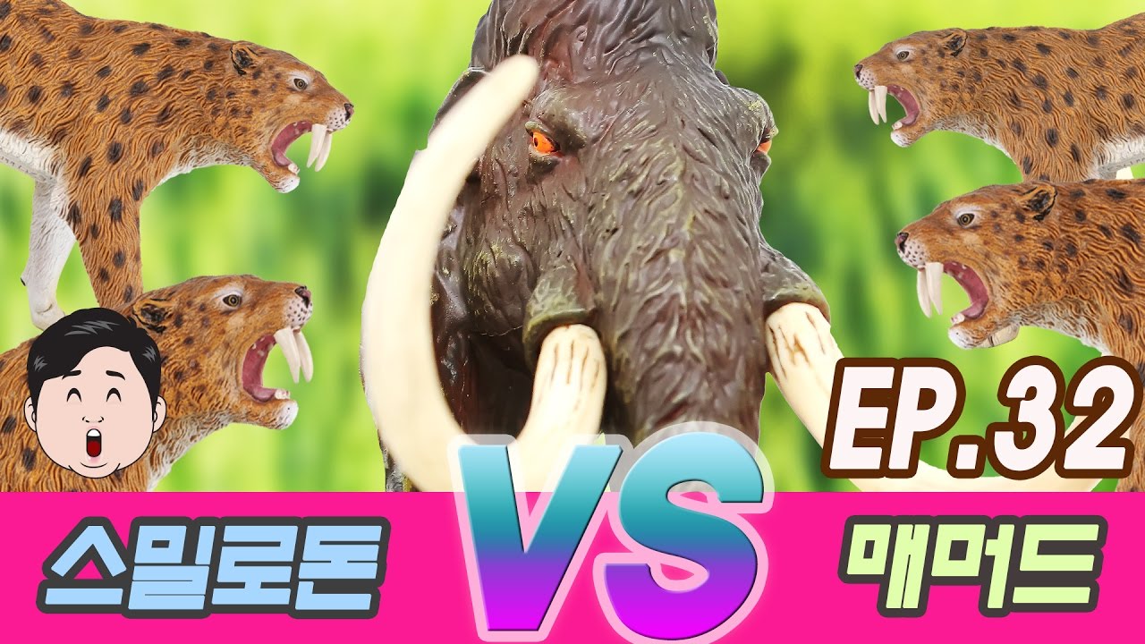 [Ko] 멸종된 신생대 동물 이야기  An extinct Cenozoic animal story (mammoth VS Smilodon) kids education, Collecta