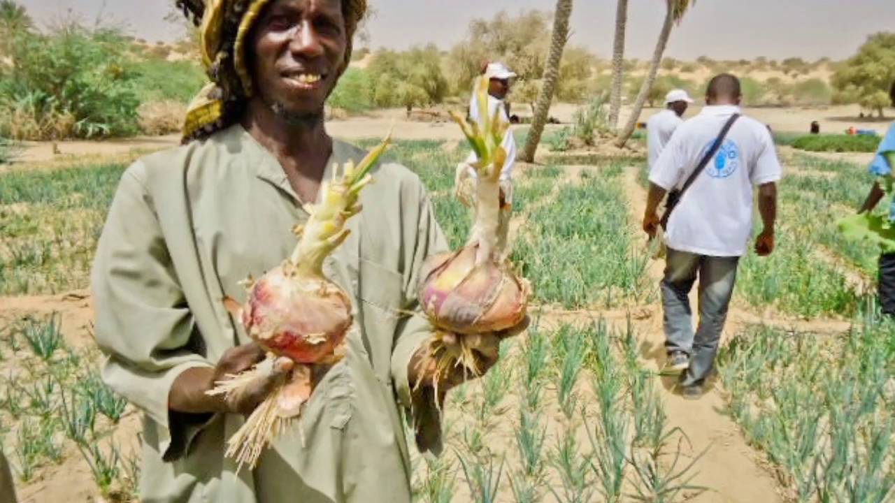 DOUNIA DANNPEUR-N'DO MUSIC from CHAD