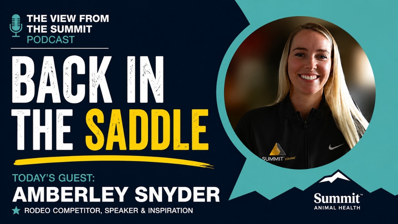 30. Amberley Snyder