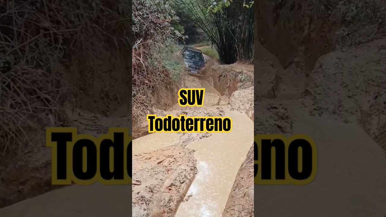 Potente SUV Todoterreno 4x4 China #car