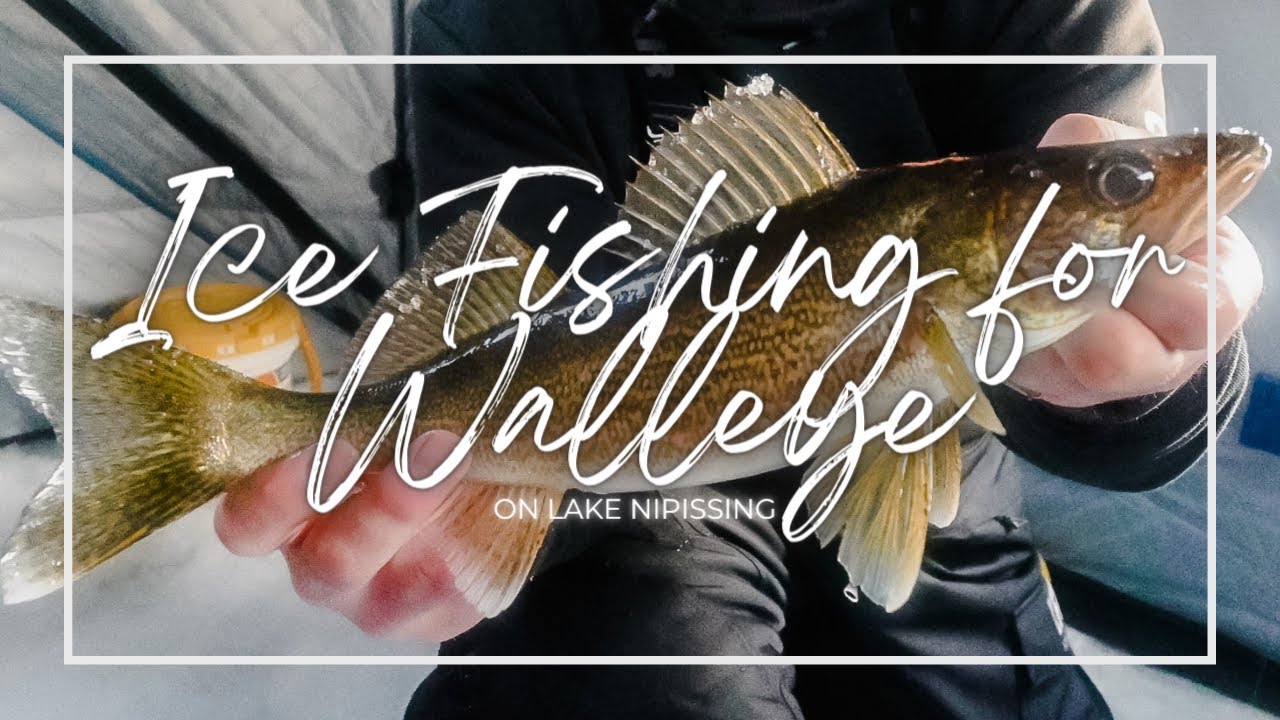 Ice Fishing for Walleye || Lake Nipissing / Callander Bay